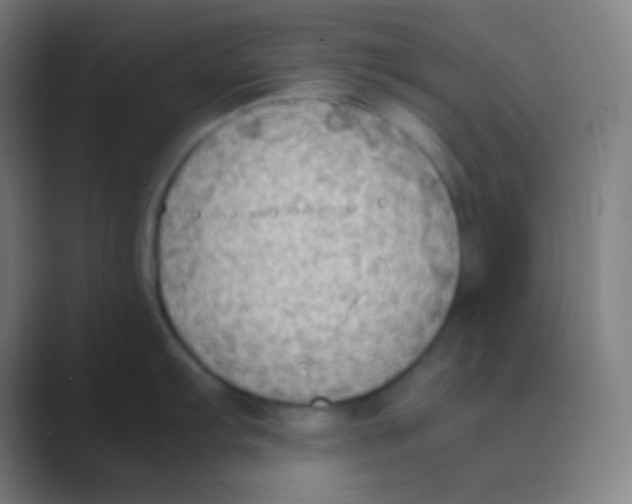 X0000088741103200706282139