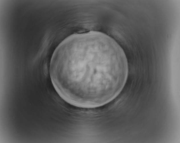 X0000088741106200706282138