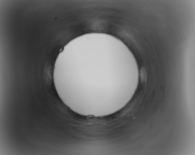 X0000088741107200706282138
