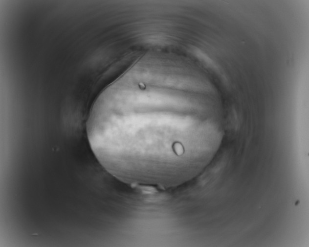 X0000088741110200706282138