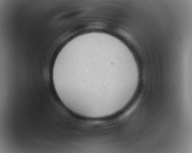 X0000088741113200706282138