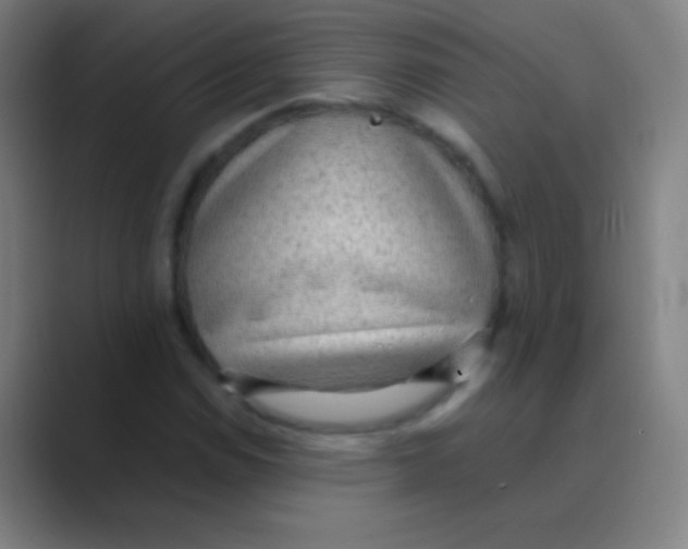 X0000088741114200706282138