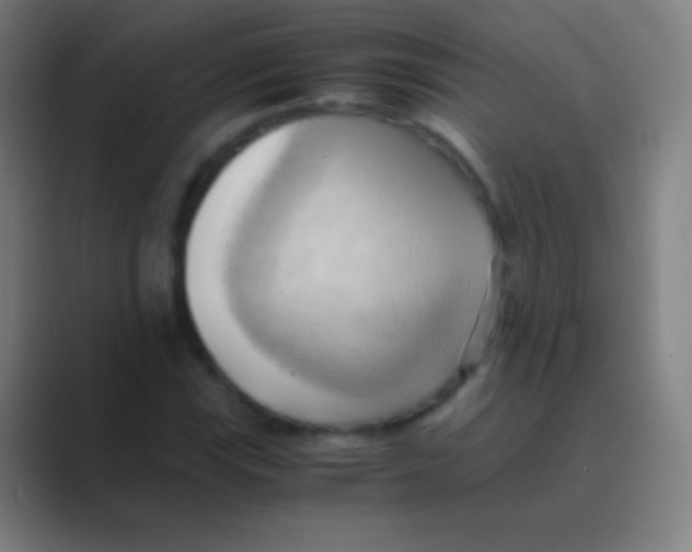X0000088741115200706282138