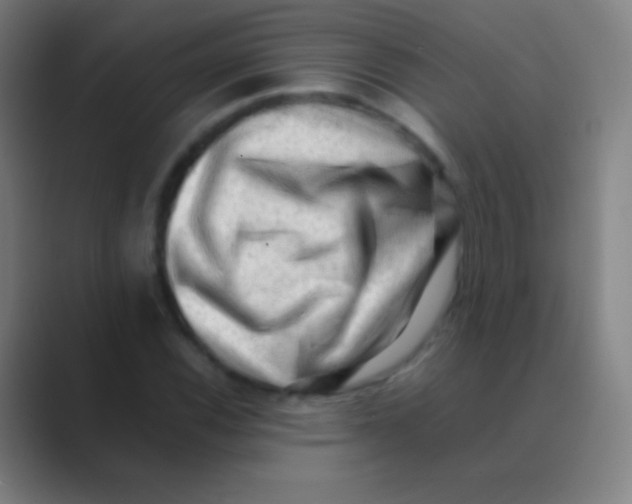 X0000088741116200706282138