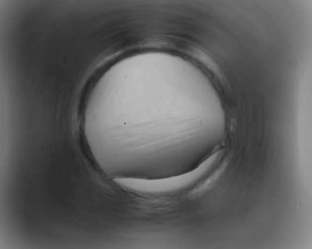 X0000088741117200706282138