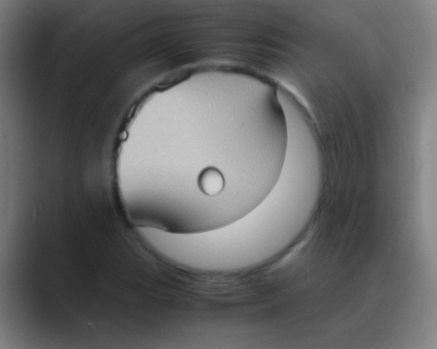 X0000088741119200706282138