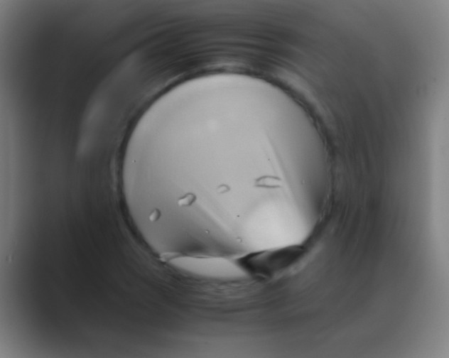 X0000088741121200706282138