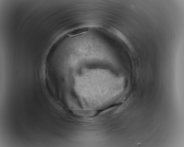 X0000088741124200706282138
