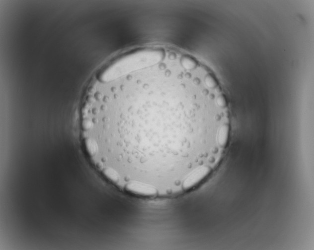 X0000088741126200706282138