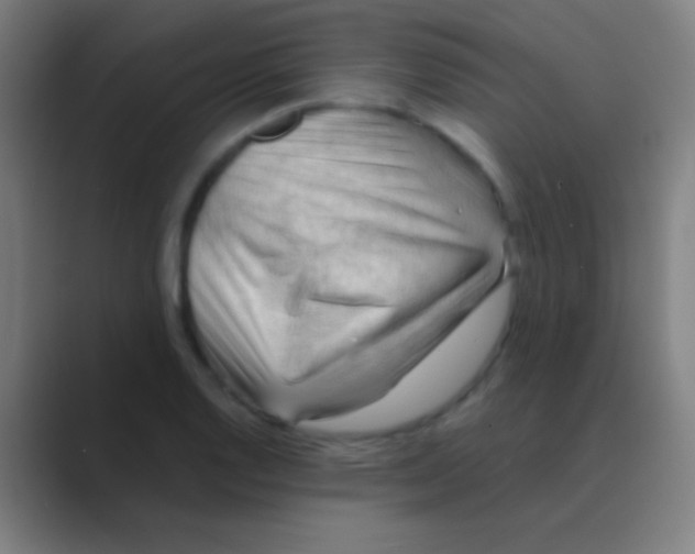 X0000088741128200706282139