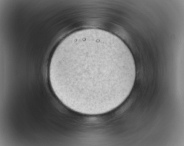 X0000088741130200706282139