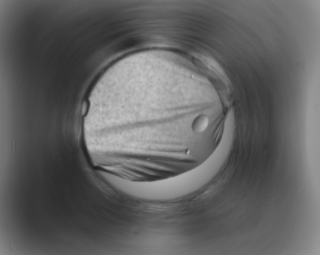 X0000088741132200706282139