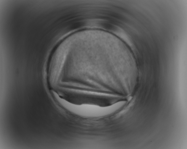 X0000088741133200706282139