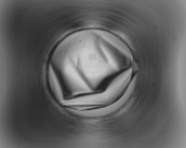 X0000088741134200706282139