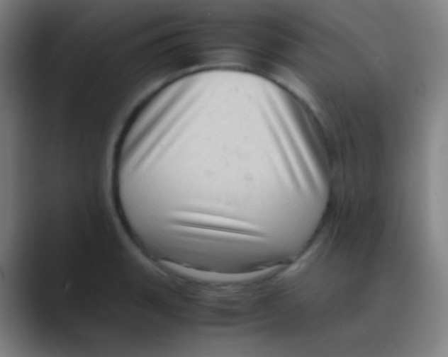 X0000088741135200706282139