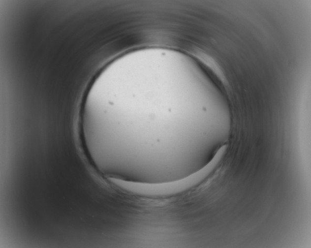 X0000088741136200706282139