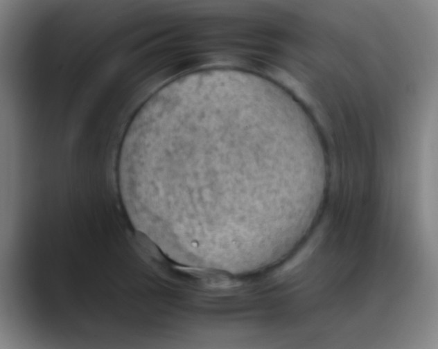 X0000088741137200706282139