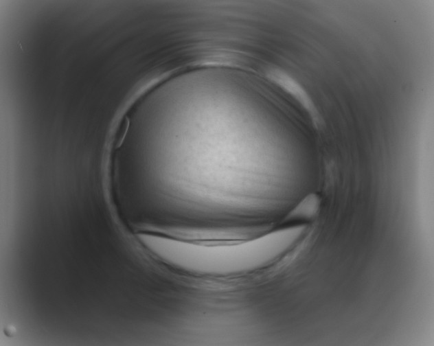 X0000088741138200706282139