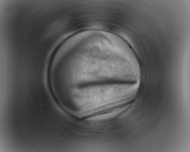 X0000088741139200706282139
