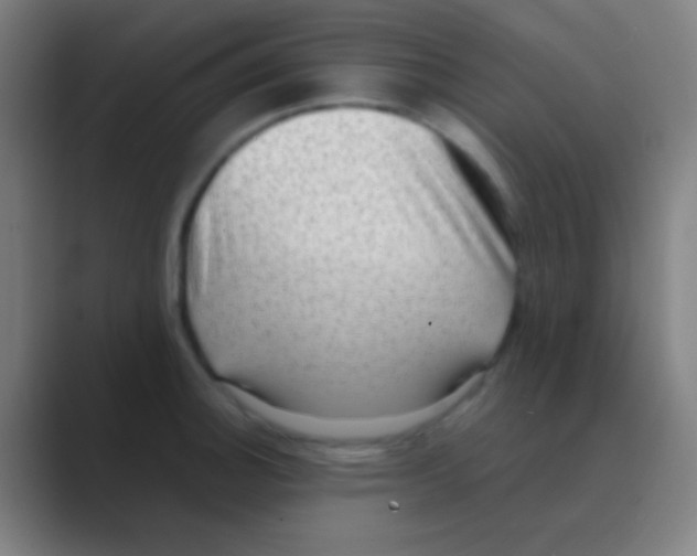 X0000088741140200706282139