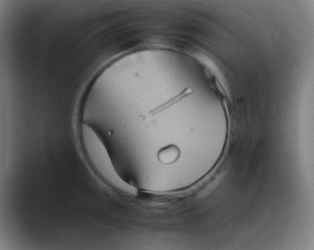 X0000088741141200706282139