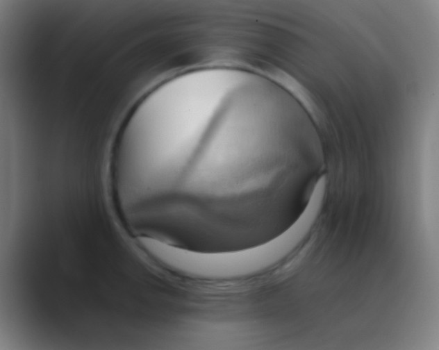 X0000088741142200706282139