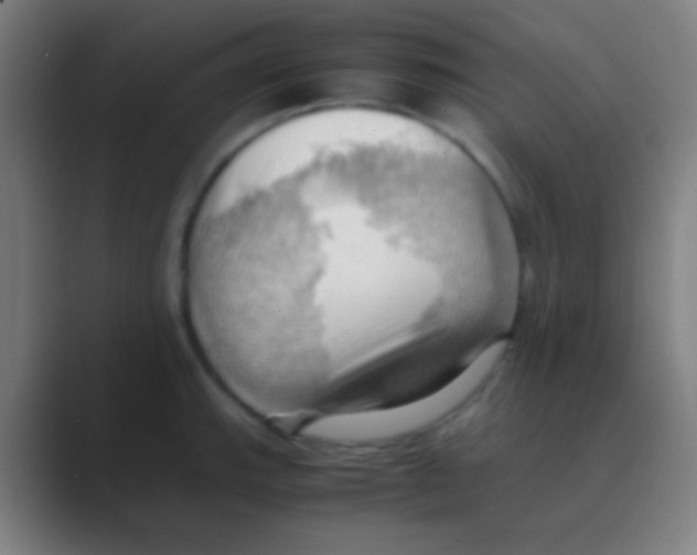 X0000088741143200706282139