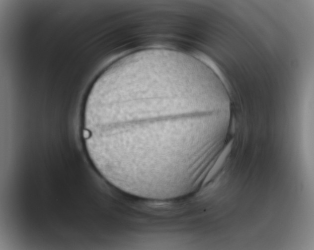 X0000088741147200706282139