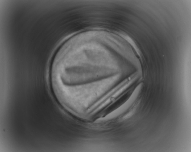X0000088741149200706282139