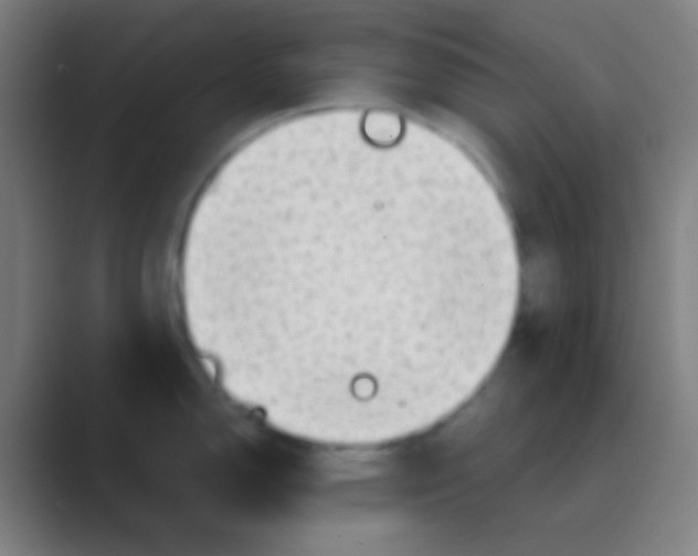 X0000088741150200706282139
