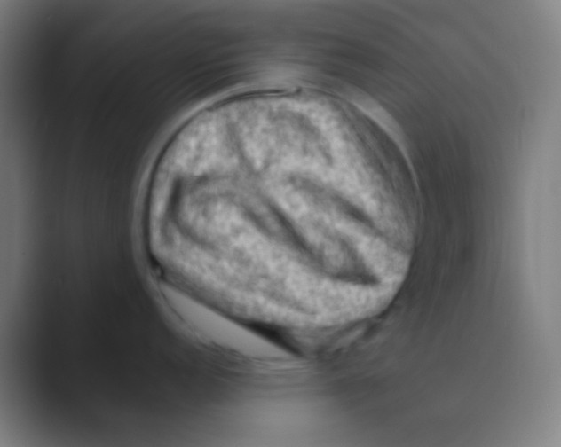 X0000088741152200706282139