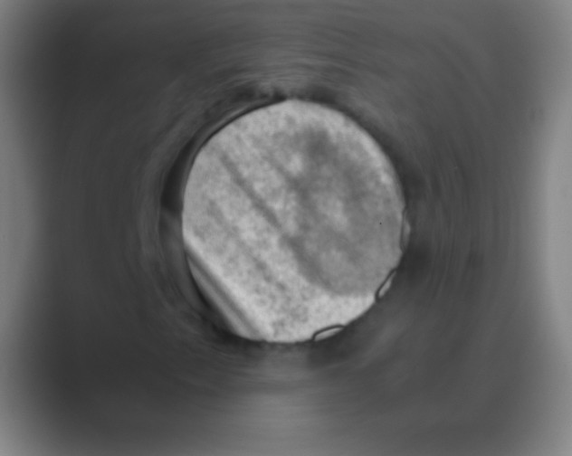 X0000088741153200706282138