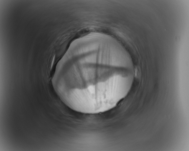 X0000088741155200706282138