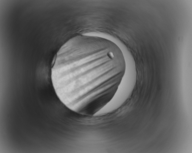 X0000088741156200706282138