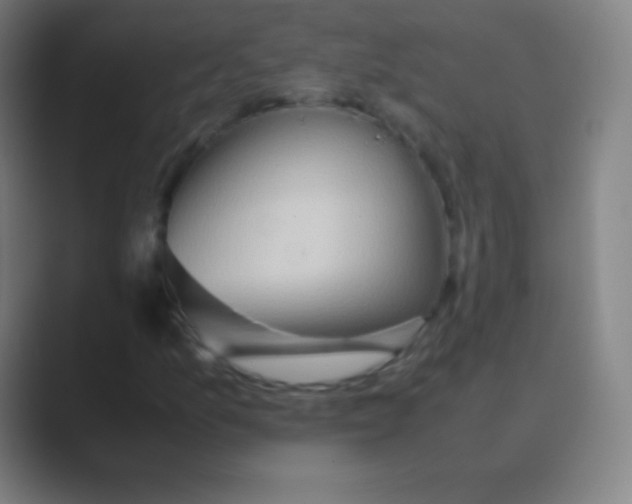 X0000088741157200706282138
