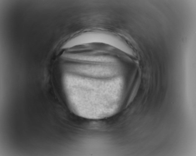 X0000088741160200706282138