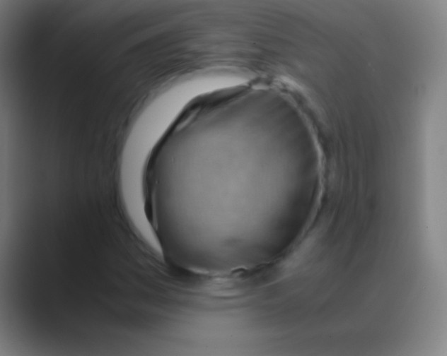 X0000088741161200706282138