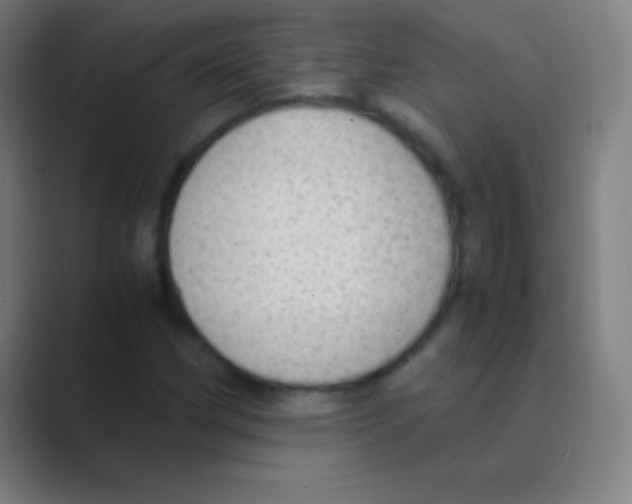 X0000088741162200706282138