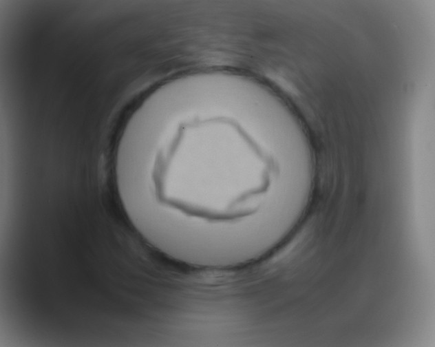 X0000088741163200706282138
