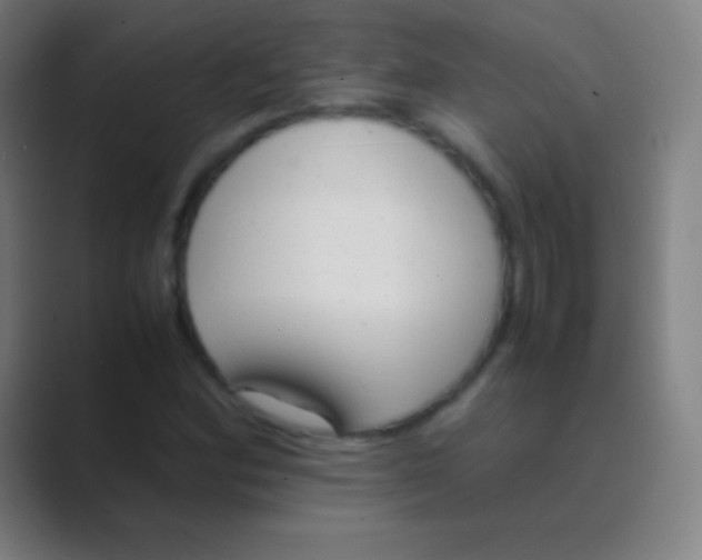 X0000088741164200706282138
