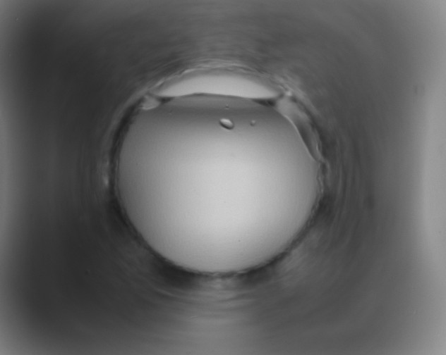 X0000088741165200706282138