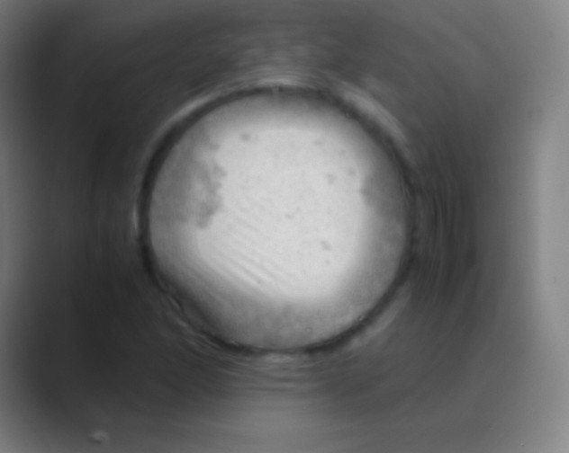 X0000088741166200706282138