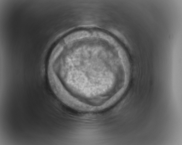 X0000088741167200706282138