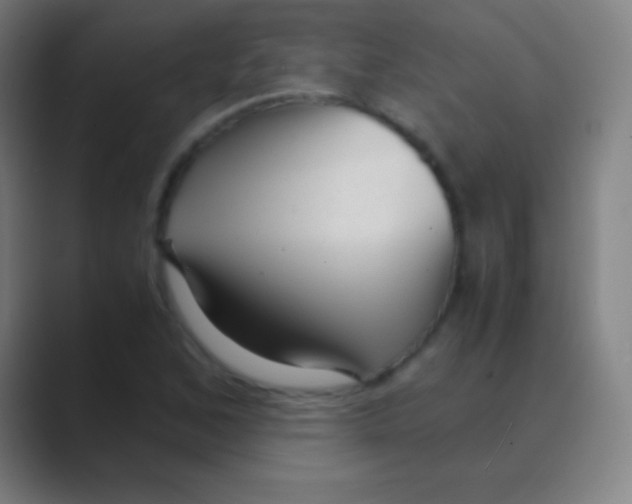 X0000088741168200706282138