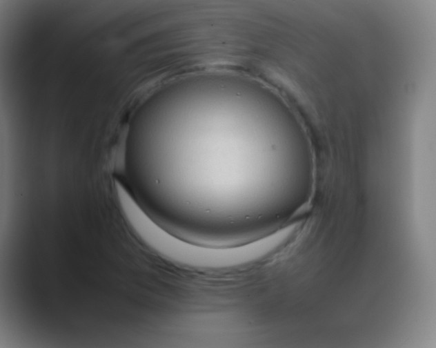 X0000088741169200706282138