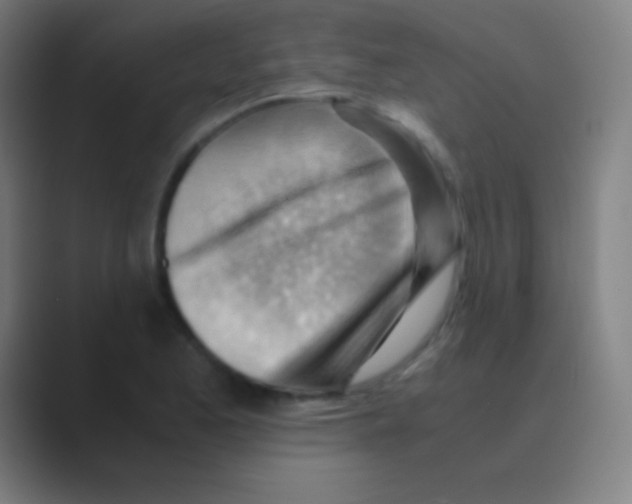 X0000088741173200706282138
