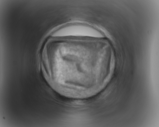 X0000088741175200706282138