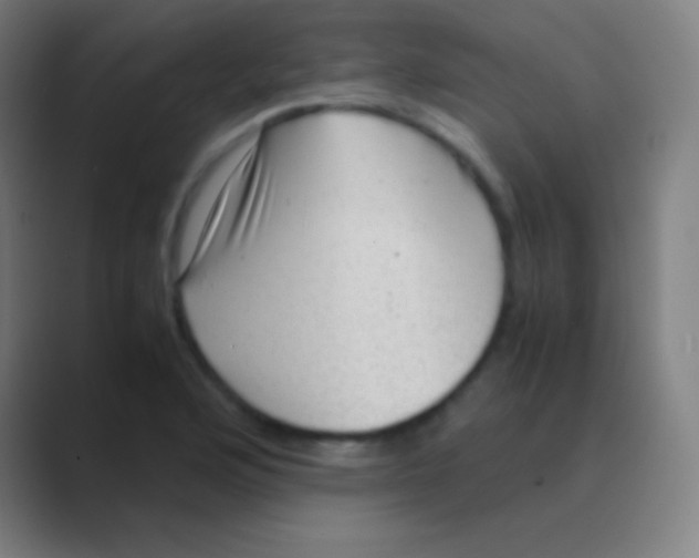 X0000088741176200706282138