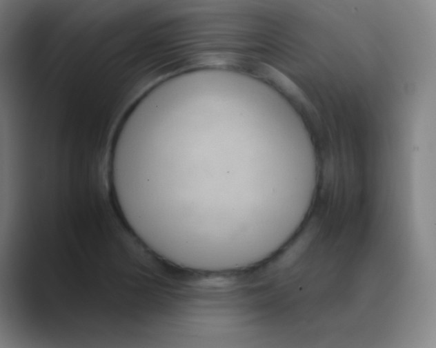 X0000088741178200706282138
