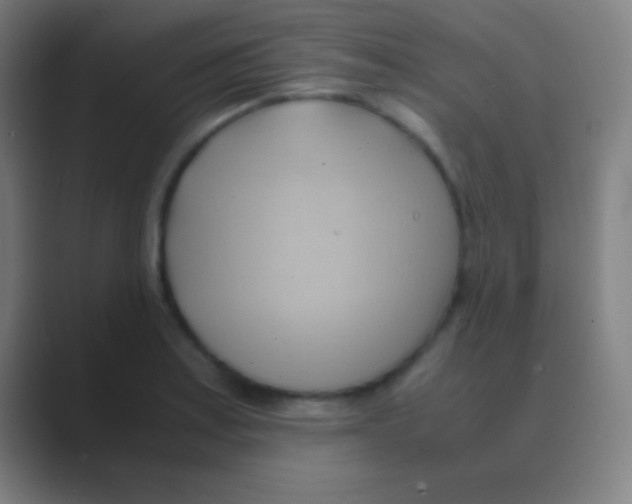 X0000088741179200706282138